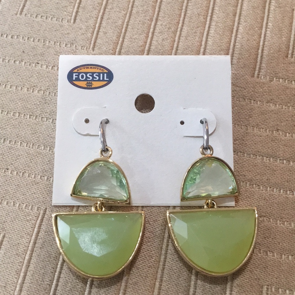 Fossil Drop Earrings